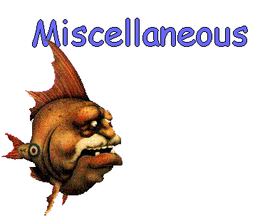 Miscellaneous stuff